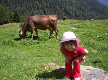 Baita La tana dell’ermellino – Cavedago (TN)