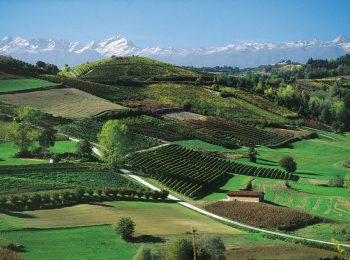 21 aprile: la marcia per la terra parte dal Piemonte