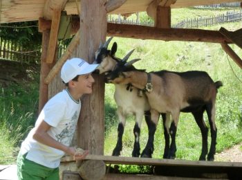 Campeggio Alpe di Siusi – Fiè allo Sciliar (BZ)