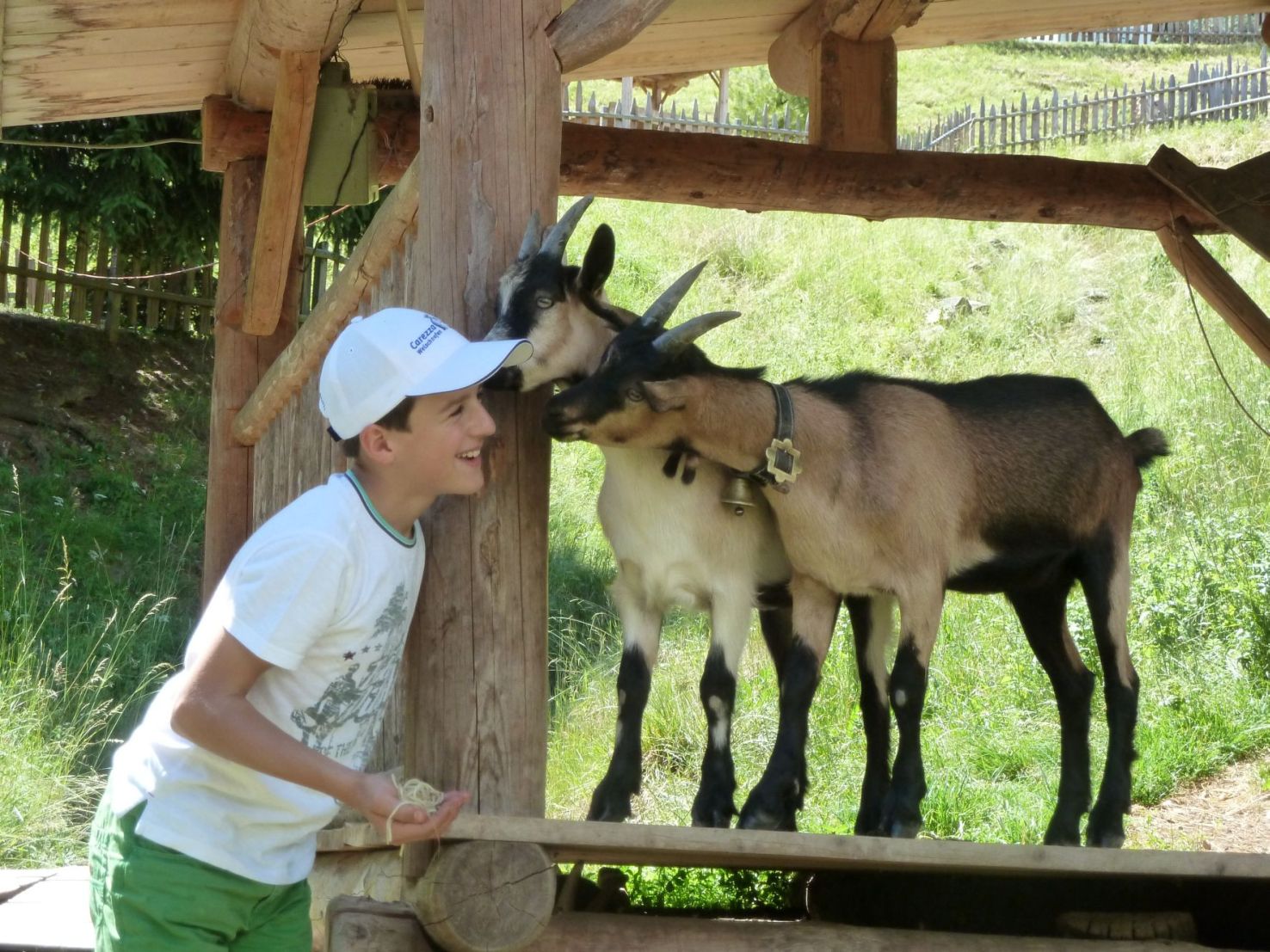 Campeggio Alpe di Siusi – Fiè allo Sciliar (BZ)