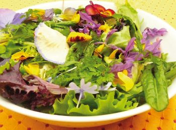 Fiori in insalata