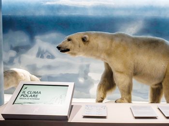Museo Regionale di Scienze Naturali – Torino