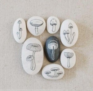 giovanigenitori - sassi dipinti funghi