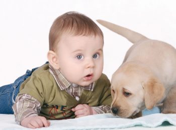 Un cane in famiglia