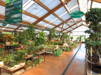 Viridea – Settimo Torinese, Collegno (TO)