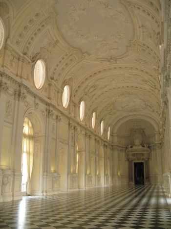 venaria reale