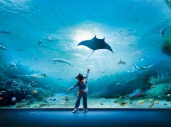 Acquario di Genova – Genova