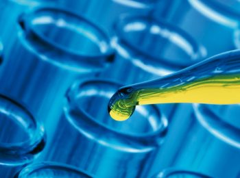Il test del Dna