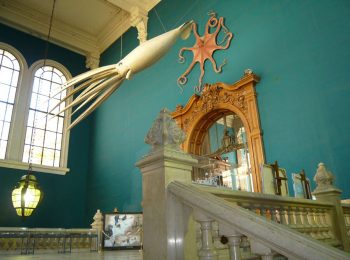 Musée océanographique de Monaco – Monaco (Principauté de Monaco)