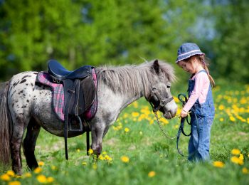 Pony games, lo sport-divertimento tanto amato dai bambini