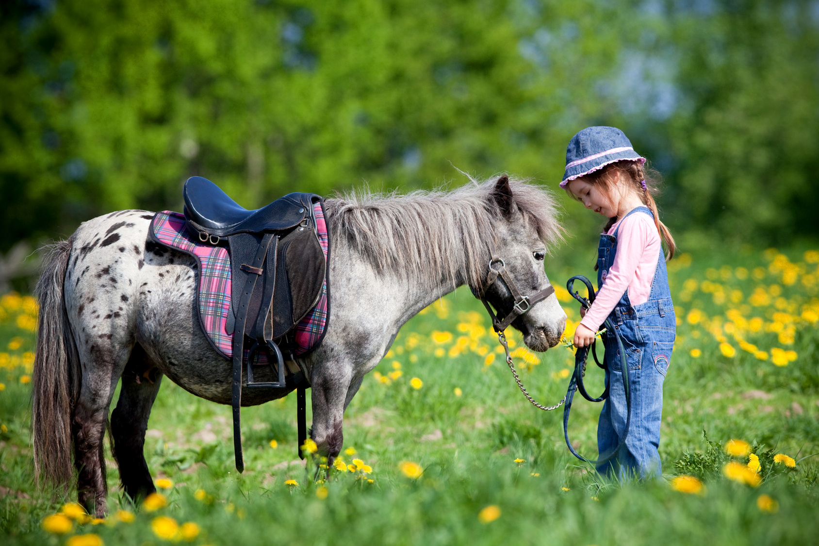 Pony games, lo sport-divertimento tanto amato dai bambini