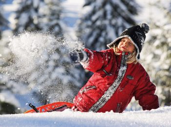 Il “codice della neve”