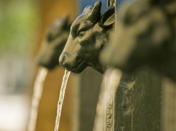 Cos’è l’acqua potabile