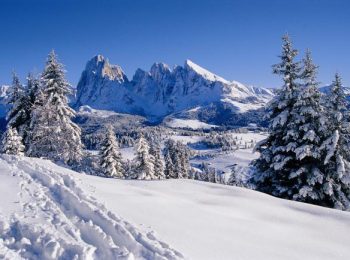 Artificiale o naturale