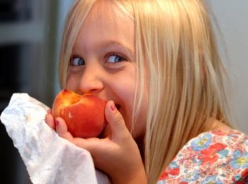 Europa, alimenti e ricerca