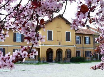 Cascina Guzzafame – Vigano di Gaggiano (MI)