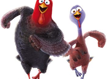 Free Birds