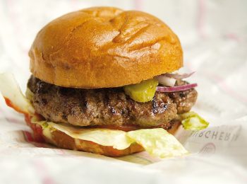 Hamburger e dintorni