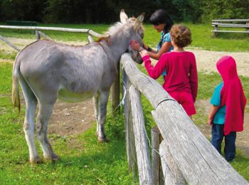 Amici dalle lunghe orecchie