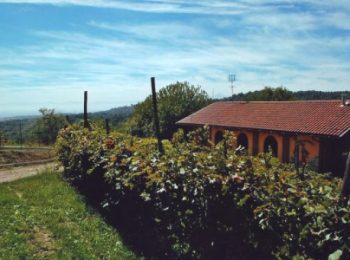 Gli Amici di Bricco e Bacco – Pino Torinese (TO)