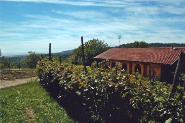 Gli Amici di Bricco e Bacco – Pino Torinese (TO)