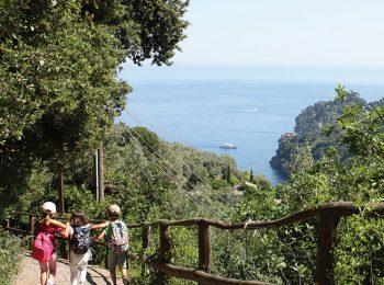 Campi estivi in Liguria