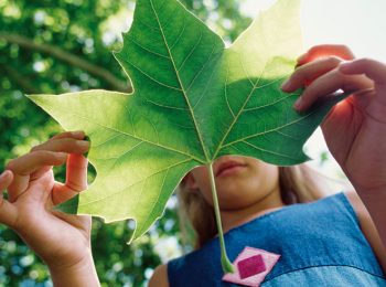 Campi estivi e vacanze WWF