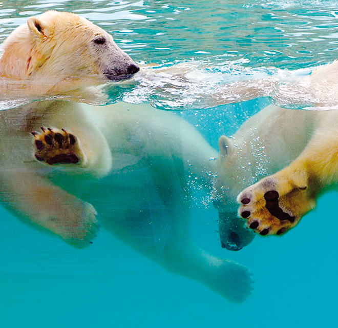 Marineland – Antibes (Francia)