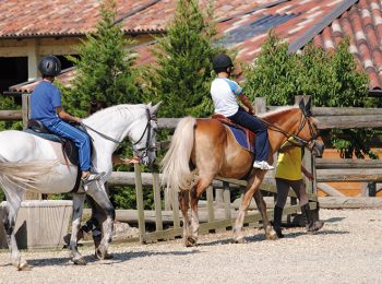 Parco Il Babi – Livorno Ferraris (VC)