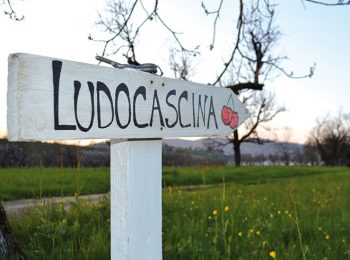 La Ciliegia e il Gioanin – Pecetto Torinese (TO)
