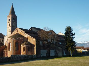 Nell’Abbazia di Staffarda si trova una vera Bat City con migliaia di pipistrelli