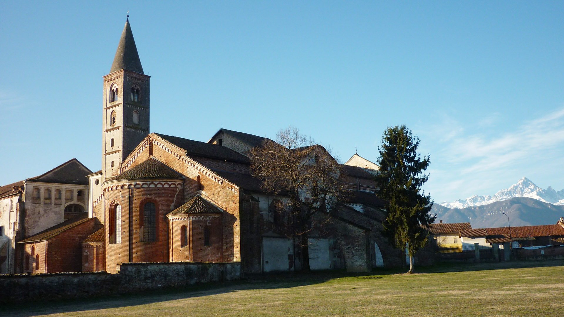 Nell’Abbazia di Staffarda si trova una vera Bat City con migliaia di pipistrelli