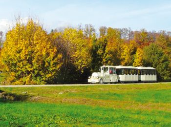 Parco Naturale la Mandria – Venaria / Druento