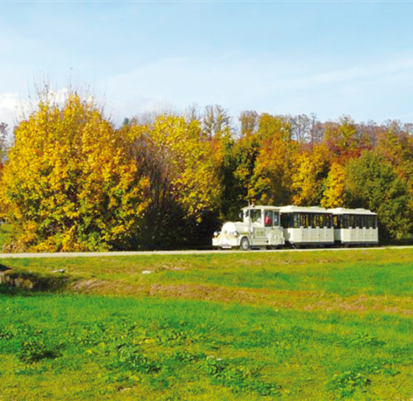 area biciclette venaria la mandria