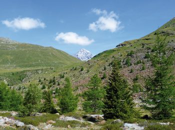 Rifugio Pizzini – Valfurva (SO)