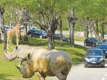 SafariPark – Pombia (NO)