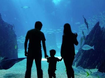 Acquario di Cattolica – Cattolica (RN)