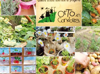 L’orto in condotta