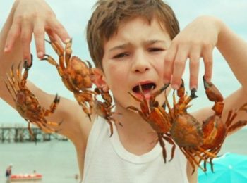 Le vacanze del piccolo Nicolas