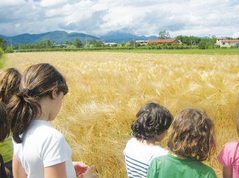 Una settimana sulla terra