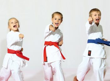 Piccoli ninja