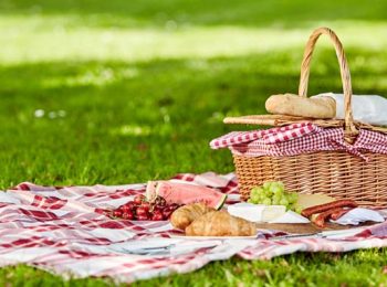 Un picnic a Torino: i posti migliori dove farlo