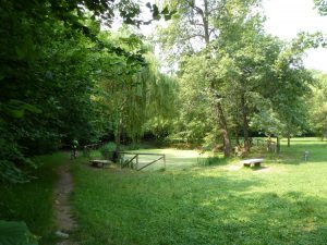 Picnic Torino Lago Pessina Rivoli