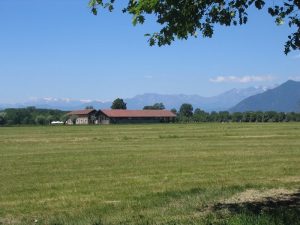 Picnic a Torino - Parco della Mandria