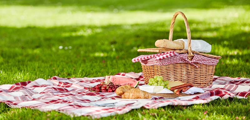 Un picnic a Torino: i posti migliori dove farlo