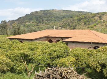 Le Terre di Zoé – Limbadi (VV)