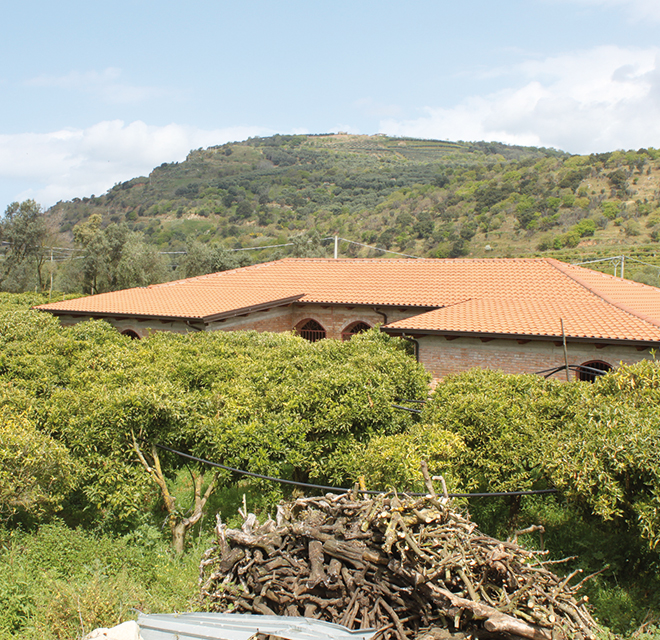 Le Terre di Zoé – Limbadi (VV)