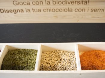 Nutrire l’Expo 2015