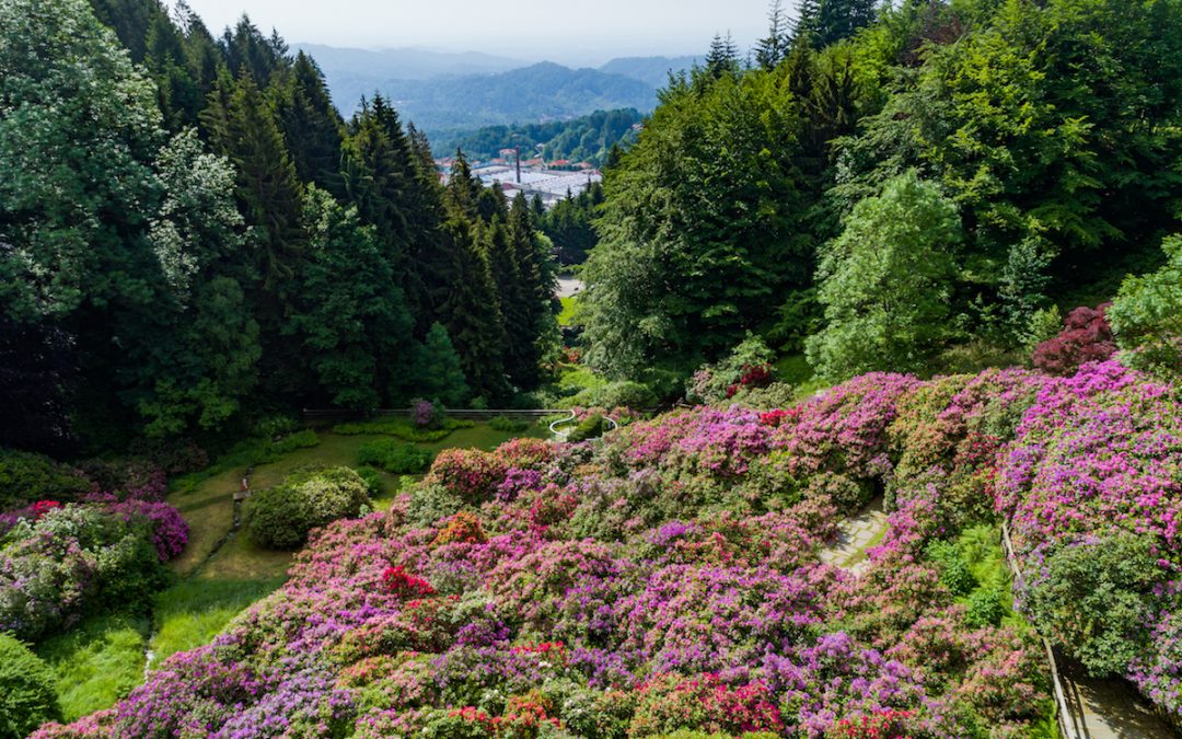 In giro per giardini fioriti: i più belli in Italia