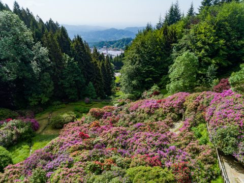 In giro per giardini fioriti: i più belli in Italia